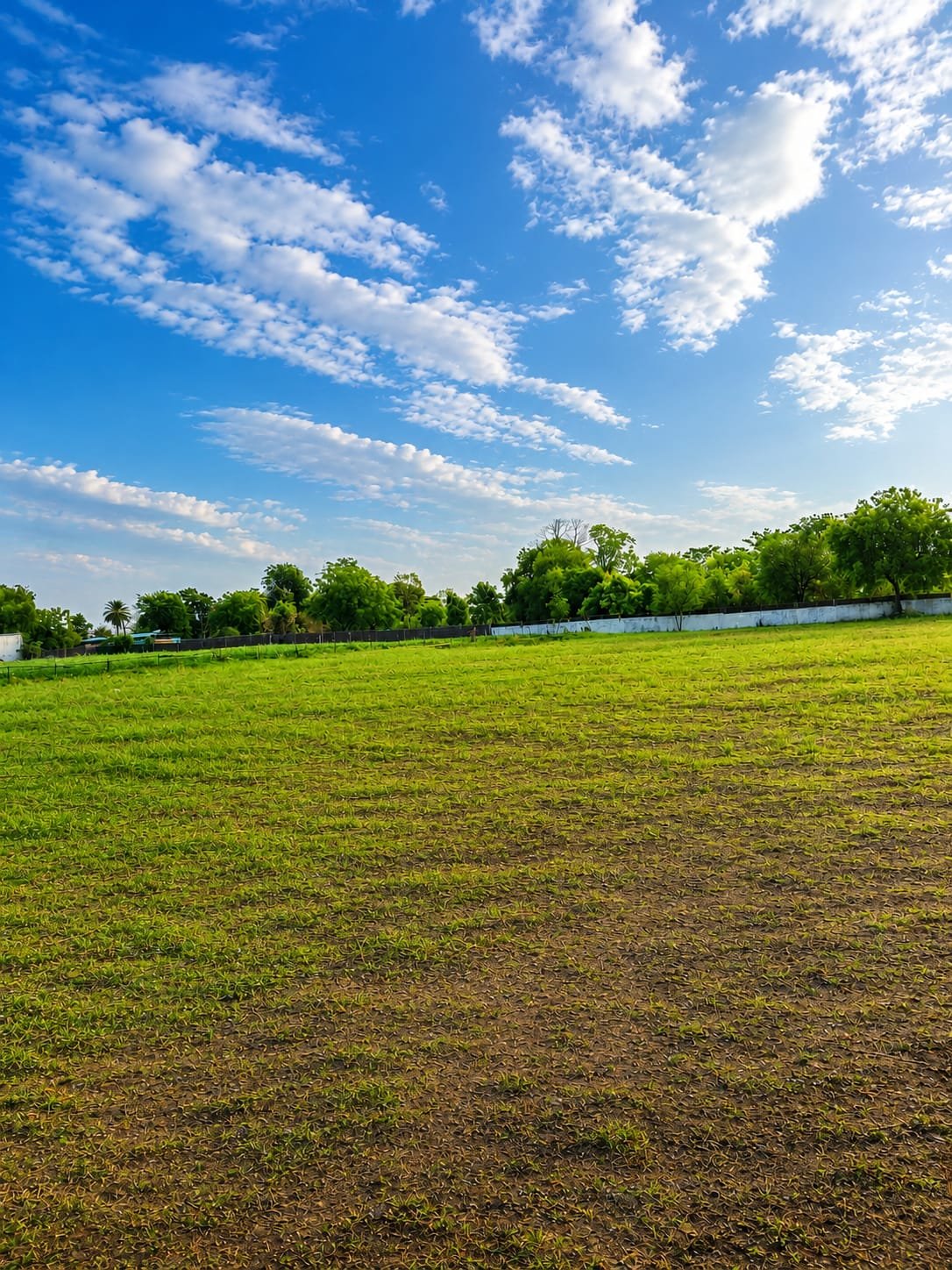 School Ground